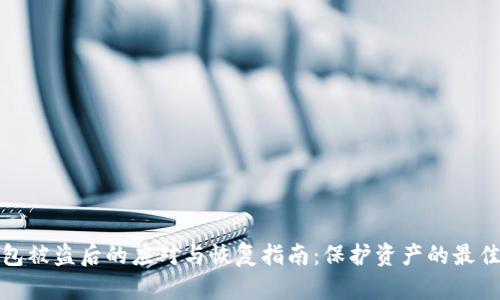 TP钱包被盗后的应对与恢复指南：保护资产的最佳策略