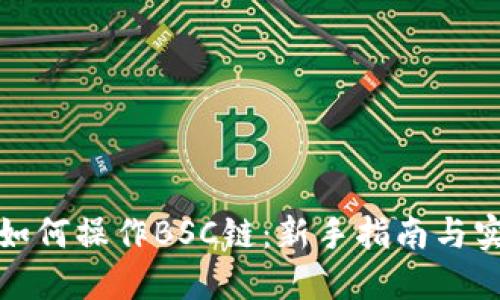 TP钱包如何操作BSC链：新手指南与实用技巧