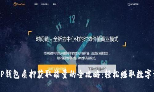 用TP钱包质押获取能量的全攻略：轻松赚取数字资产