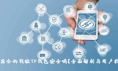 华英会的钱放TP钱包安全吗?全面解析与用户指南