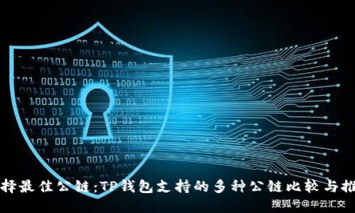 选择最佳公链：TP钱包支持的多种公链比较与推荐