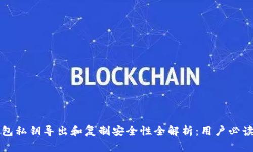 TP钱包私钥导出和复制安全性全解析：用户必读指南