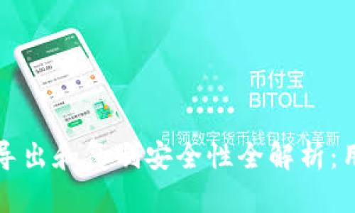 TP钱包私钥导出和复制安全性全解析：用户必读指南