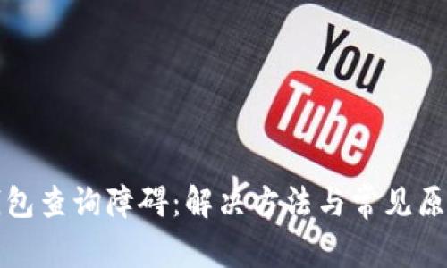 数字钱包查询障碍：解决方法与常见原因分析