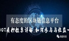 TP钱包DOT质押投票详解：如何参与与收