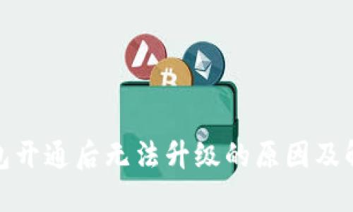 数字钱包开通后无法升级的原因及解决方案
