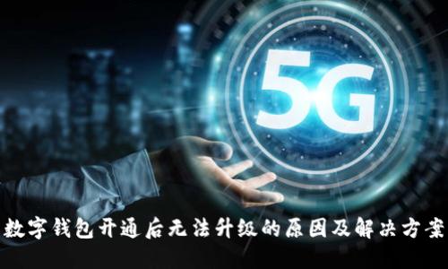 数字钱包开通后无法升级的原因及解决方案