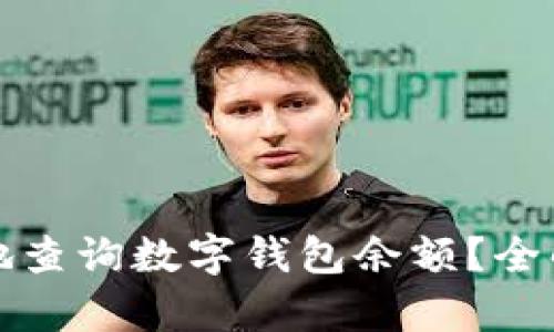 如何轻松快捷地查询数字钱包余额?全解析与实用技巧